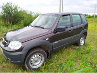 GENERAL MOTORS 918, 437 | DIKAYA SLIVA (ДИКАЯ СЛИВА) 4