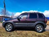 GENERAL MOTORS 918, 437 | DIKAYA SLIVA (ДИКАЯ СЛИВА) 5