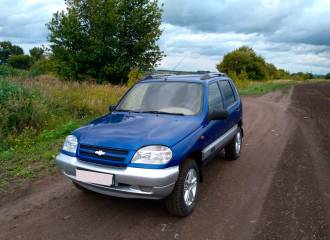 Образец цвета 21K OLIMPIA на автомобиле - №2