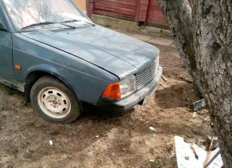 Образец цвета 610 ДИНГО на автомобиле - №2