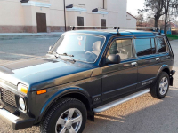 LADA (ВАЗ) 627 | ЖИМОЛОСТЬ (ZHIMOLOST GREY, HONEYSUCKLE, ZHIMOLOST) 6