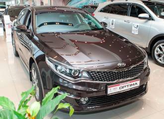 Образец цвета G4N PLUTO BROWN на автомобиле - №0