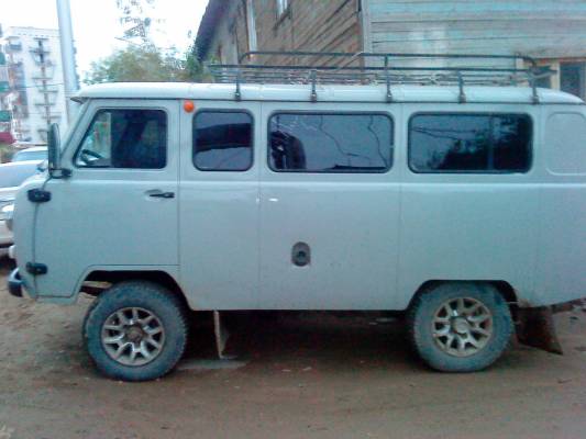 цвет белая ночь фото