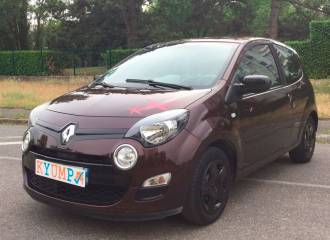 Образец цвета CNG BRUN TOURMALINE на автомобиле - №1