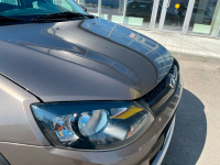 LADA (ВАЗ) 790 | КОРИАНДР (KORIANDER, CORIANDER) 13