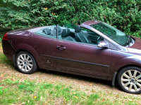 FORD EUROPE 6CUE, 6CUEWWA, S, S7 | IRIS (BLEU IRIS, GRIS IRIS) 6