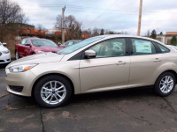 FORD 7362, GN, HQHEWHA | WHITE GOLD (雅典金) 2