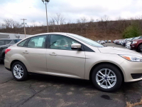 FORD 7362, GN, HQHEWHA | WHITE GOLD (雅典金) 3