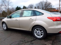 FORD 7362, GN, HQHEWHA | WHITE GOLD (雅典金) 4