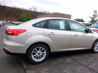 FORD 7362, GN, HQHEWHA | WHITE GOLD (雅典金) 5