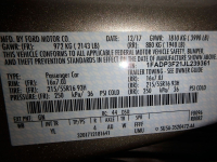 FORD 7362, GN, HQHEWHA | WHITE GOLD (雅典金) 6