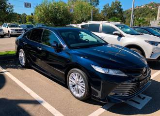 Образец цвета 221 BLACKISH AGEHA на автомобиле - №0