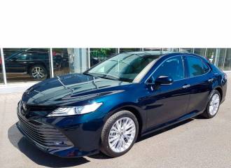 Образец цвета 221 BLACKISH AGEHA на автомобиле - №3