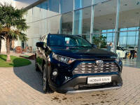 TOYOTA 221 | BLACKISH AGEHA (PEACOCK BLACK, 墨玉蓝, 黑曜藍) 7