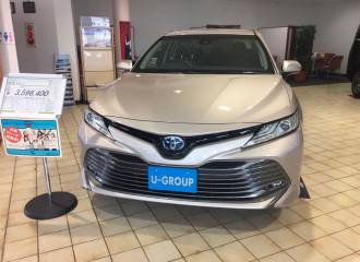 Образец цвета 4X1 STEEL BLONDE на автомобиле - №0