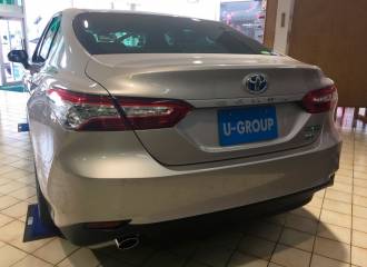 Образец цвета 4X1 STEEL BLONDE на автомобиле - №1