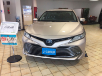 TOYOTA 4X1 | STEEL BLONDE (TITANIUM GLOW, 欧泊银) 2