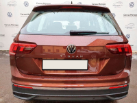 VOLKSWAGEN LR8Y, F1, R8Y, F1F1 | GINGER BROWN () 5