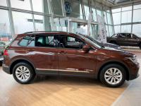 VOLKSWAGEN LR8Y, F1, R8Y, F1F1 | GINGER BROWN () 7