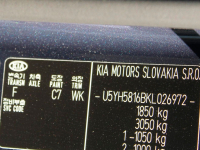 KIA CB7, C7 | COSMOS BLUE (COSMO BLUE, COSMOBLAU) 7