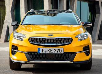 Образец цвета YQM QUANTUM YELLOW на автомобиле - №0