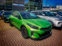 KIA C6E, CE6 | CELADON SPRIT GREEN (CELADON SPIRIT GREEN, CELADONGRUN) 3