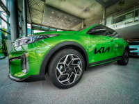 KIA C6E, CE6 | CELADON SPRIT GREEN (CELADON SPIRIT GREEN, CELADONGRUN) 4