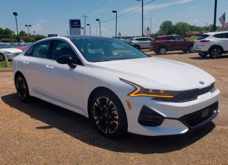 Образец цвета GWP GLACIER WHITE на автомобиле - №1