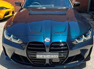 Образец цвета S10 MALACHITGRUEN DUNKEL на автомобиле - №0