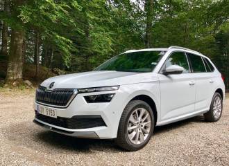 Образец цвета LS9R BILA MOON на автомобиле - №1