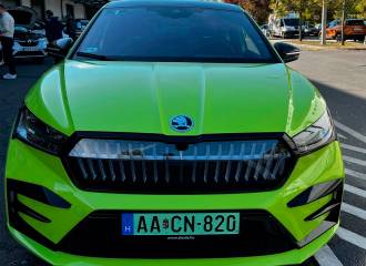 Образец цвета LG6E MAMBA GREEN на автомобиле - №0