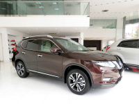 NISSAN CAS | DARK BROWN (IMPERIAL UMBER, RICH BROWN, MOCHA ALMOND, IMPERIAL AMBER BRAUN) 3