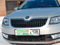 SKODA LR7L, 7B, 7B7B, R7L | SILVER LEAF WHITE GOLD (FEUILLE D'ARGENT, PRATA FOLHA, SILVER LEAF, LEAFSILBER, WHITE GOLD, СЕРЕБРЯНЫЙ ЛИСТ, 7B 金屬棕, 秋叶银) 2