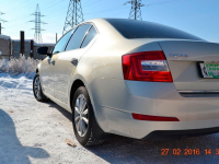 SKODA LR7L, 7B, 7B7B, R7L | SILVER LEAF WHITE GOLD (FEUILLE D'ARGENT, PRATA FOLHA, SILVER LEAF, LEAFSILBER, WHITE GOLD, СЕРЕБРЯНЫЙ ЛИСТ, 7B 金屬棕, 秋叶银) 4