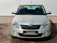 SKODA LR7L, 7B, 7B7B, R7L | SILVER LEAF WHITE GOLD (FEUILLE D'ARGENT, PRATA FOLHA, SILVER LEAF, LEAFSILBER, WHITE GOLD, СЕРЕБРЯНЫЙ ЛИСТ, 7B 金屬棕, 秋叶银) 5