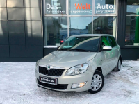 SKODA LR7L, 7B, 7B7B, R7L | SILVER LEAF WHITE GOLD (FEUILLE D'ARGENT, PRATA FOLHA, SILVER LEAF, LEAFSILBER, WHITE GOLD, СЕРЕБРЯНЫЙ ЛИСТ, 7B 金屬棕, 秋叶银) 6