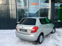 SKODA LR7L, 7B, 7B7B, R7L | SILVER LEAF WHITE GOLD (FEUILLE D'ARGENT, PRATA FOLHA, SILVER LEAF, LEAFSILBER, WHITE GOLD, СЕРЕБРЯНЫЙ ЛИСТ, 7B 金屬棕, 秋叶银) 7