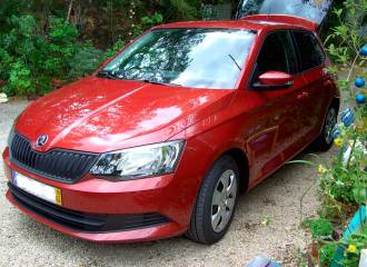 Образец цвета LF3L CERVENA RIO/RIO ROT на автомобиле - №3