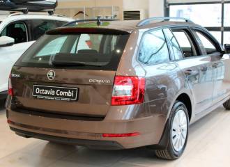 Образец цвета LH8Z HNEDA MAPLE/MAPLE BROWN на автомобиле - №1