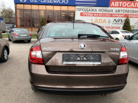 SKODA LH8Z, 4Q, 4Q4Q, H8Z | HNEDA MAPLE/MAPLE BROWN (TOFFEE BROWN, MAPLE BROWN, HNEDA MAPLE, GRACIOSA, КОРИЧНЕВЫЙ МЕЙПЛ) 8