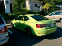 SKODA LF6Y, 9692, F6Y | ZELENA PISTACHIO/LEMON KICK (ZELENA PISTACHIO, LEMON KICK, PISTACHIO GREEN) 4