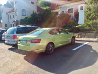 SKODA LF6Y, 9692, F6Y | ZELENA PISTACHIO/LEMON KICK (ZELENA PISTACHIO, LEMON KICK, PISTACHIO GREEN) 5