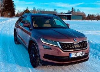 Образец цвета LF3Q CERVENA ROSE/HEARBEAT/ROSE RED на автомобиле - №0