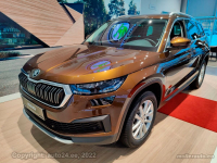 SKODA LF8Y, 9896, F8Y | HNEDA AMBER/AMBER BRAUN (HNEDA AMBER, AMBER BRAUN, AMBER BROWN) 3