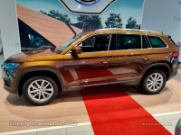 SKODA LF8Y, 9896, F8Y | HNEDA AMBER/AMBER BRAUN (HNEDA AMBER, AMBER BRAUN, AMBER BROWN) 4