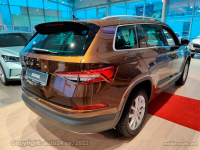 SKODA LF8Y, 9896, F8Y | HNEDA AMBER/AMBER BRAUN (HNEDA AMBER, AMBER BRAUN, AMBER BROWN) 5