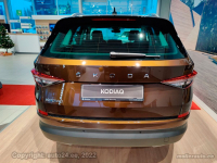 SKODA LF8Y, 9896, F8Y | HNEDA AMBER/AMBER BRAUN (HNEDA AMBER, AMBER BRAUN, AMBER BROWN) 6