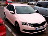 SKODA LF3F, 9311, F3F | RUZOVA BABY/SUBROSA UNI/BABY PINK (RUZOVA BABY, SUBROSA UNI, BABY PINK) 2