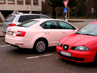 SKODA LF3F, 9311, F3F | RUZOVA BABY/SUBROSA UNI/BABY PINK (RUZOVA BABY, SUBROSA UNI, BABY PINK) 3