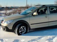SKODA LF1U, 8S, 9205, F1U | SAFARI BEZOVA/SAFARI BEIGE (SAFARI BEZOVA, SAFARI BEIGE, 流光金) 2